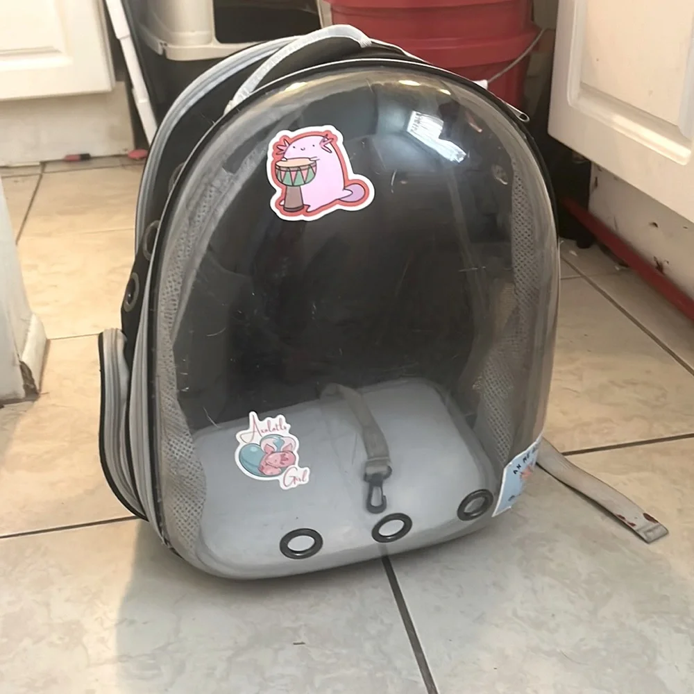 Extendable cat back pack